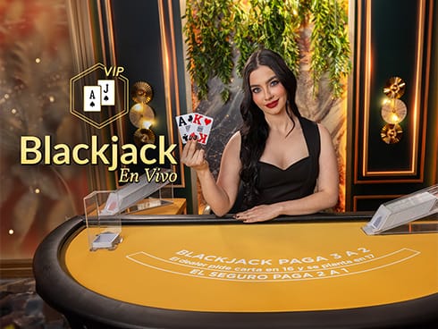 VIP Blackjack en Español 4 game screenshot